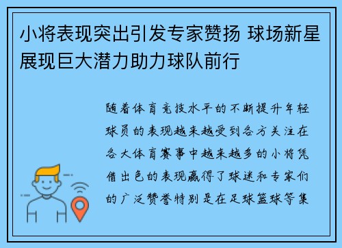 小将表现突出引发专家赞扬 球场新星展现巨大潜力助力球队前行