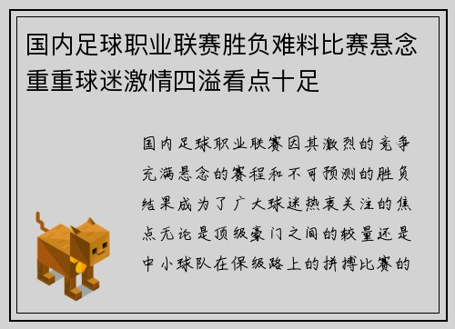 国内足球职业联赛胜负难料比赛悬念重重球迷激情四溢看点十足