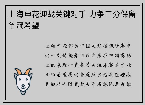 上海申花迎战关键对手 力争三分保留争冠希望